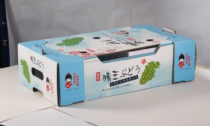 怎样阻止生鲜纸箱在运输中损坏？