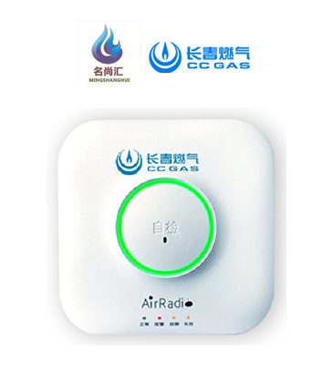 2003网站太阳集团报警器（天然气）